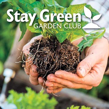 Stay Green Garden Club