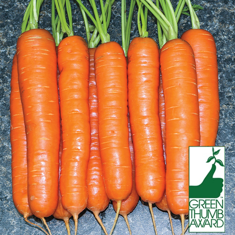 Square Foot Gardening Seed Mat – Organic Yaya Carrot | Gardens Alive