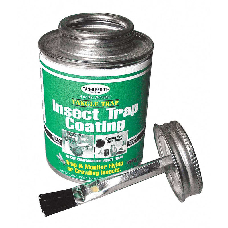 binnenkomst Groet klasse Tangle-Trap® Sticky Coating - Harvest Pest Control from Gardens Alive!