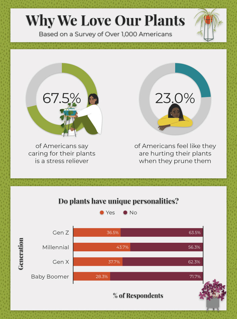 Infographic illustrating the reasons why Americans love their plants