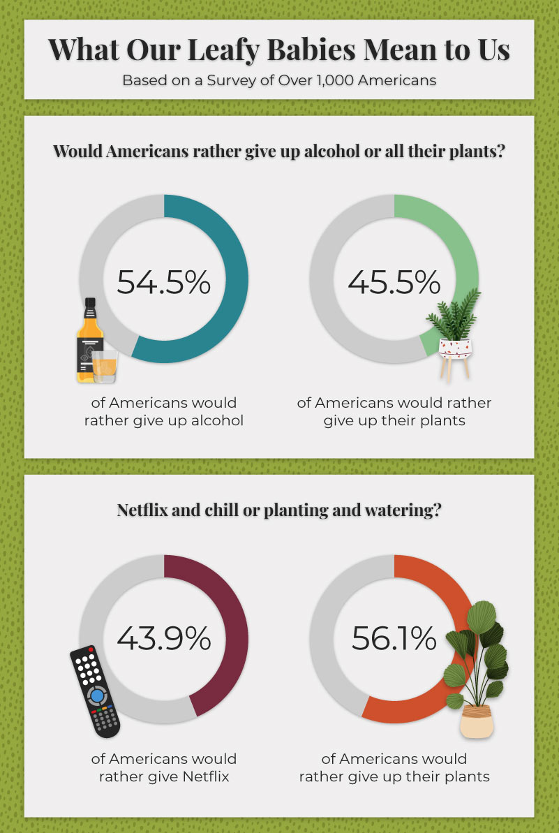 Infographic showing how much Americans like their plants compared to other interests
