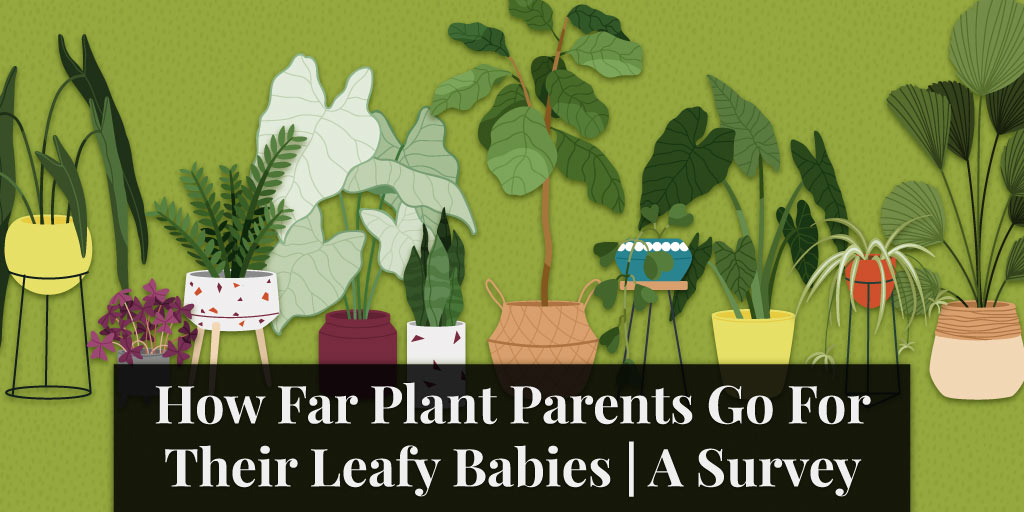 How Far Plant Parents Go For Their Leafy Babies