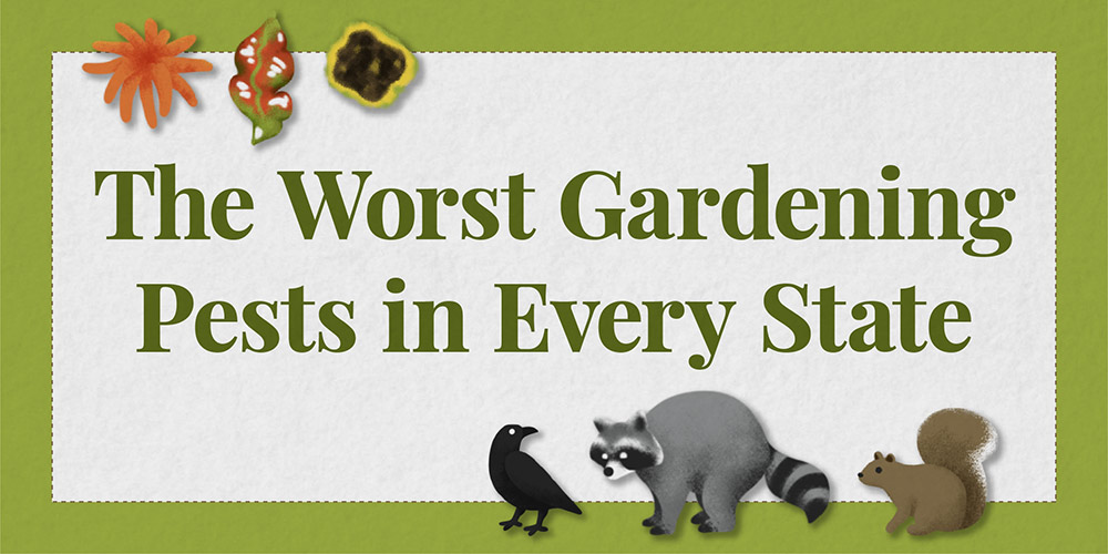 title graphic for the worst gardening pests report