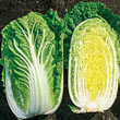 China Star Hybrid Cabbage Seed