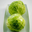 Tiara Hybrid Cabbage Seed