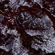 Dark Roden Leaf Lettuce