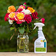 Rose & Ornamental Plant Spray