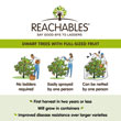 Gala Reachables<sup>®</sup> Apple Tree