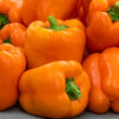 Orange Marmalade Hybrid Sweet Bell Pepper
