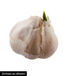 Transylvanian Softneck Garlic