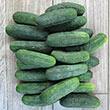 Super Max Hybrid Pickling Cucumber
