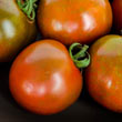 Black Velvet Hybrid Tomato