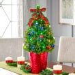 Colorful Presents Potted Spruce Tree