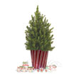 Christmas Critters Potted Spruce Tree
