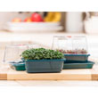 Microgreen Growing Kit
