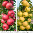 Tasty Red™ Fruit Snacks™ Apple