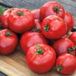 Tasty Beef Hybrid Tomato