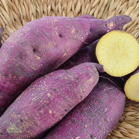 A Field Guide to Sweet Potato Types (and the Dirt on Yams)