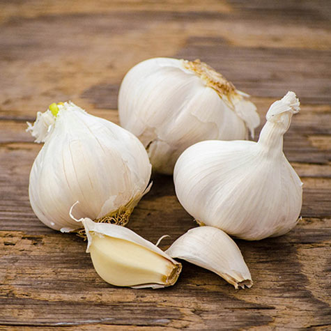 California White Garlic | Gurney