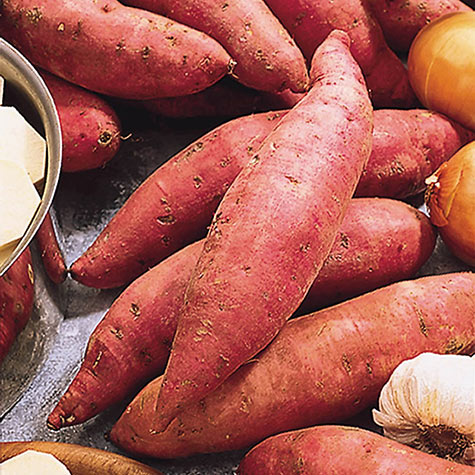 Organic Beauregard Sweet Potatoes - 10 lbs