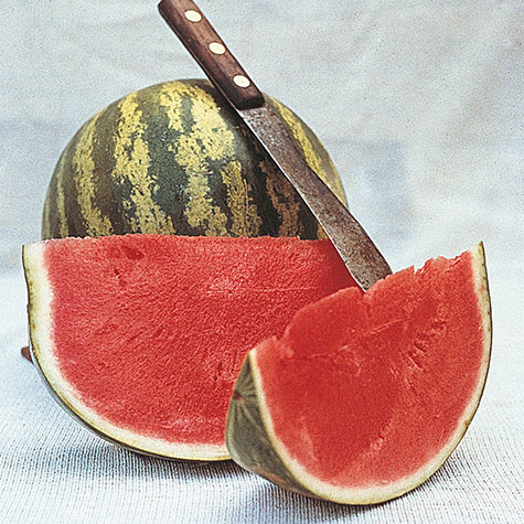 Details about   Crimson Sweet Watermelon Seeds 25 Fruit Melon Heirloom NON-GMO FREE SHIPPING