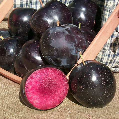 Artificial Plum Fruit Black Burgundy