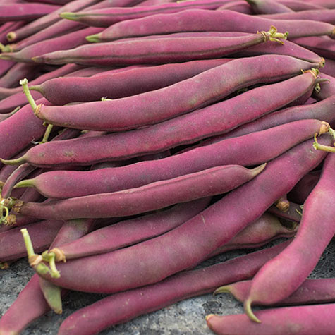 are red swan beans like green beans