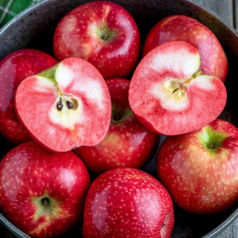 Red-Fleshed Apple Trees - Learn About Types Of Apples With Red Inside