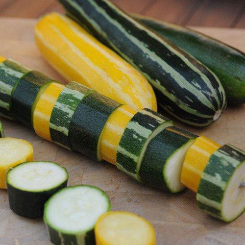 Summer Grillers Mixed Summer Squash Seed