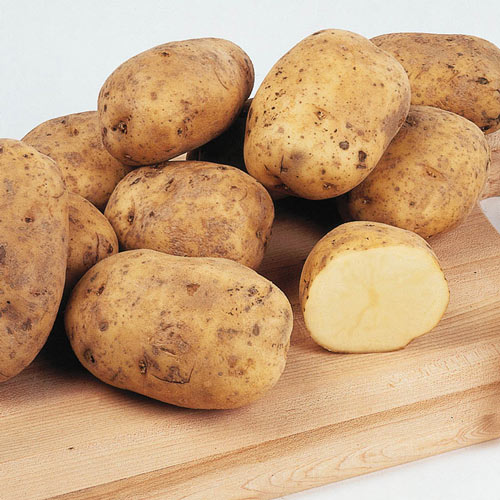 Early Ohio Potato