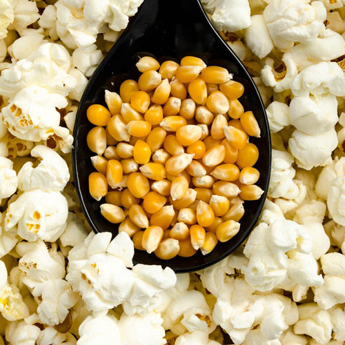 Pops the Lid Off Hybrid Popcorn Seed