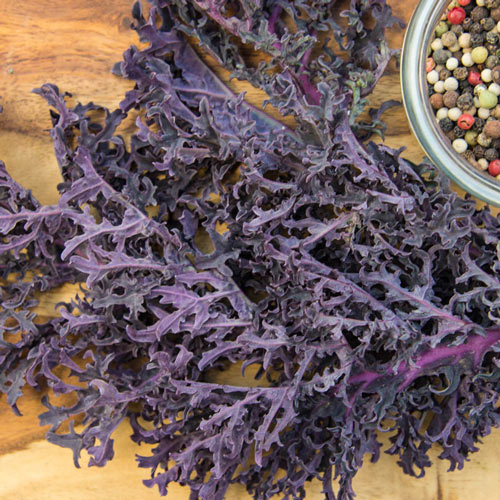 Gurney's<sup>®</sup> Winter Wonderland Mixed Kale Seed