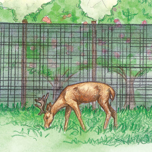 Deer Stop Garden Netting