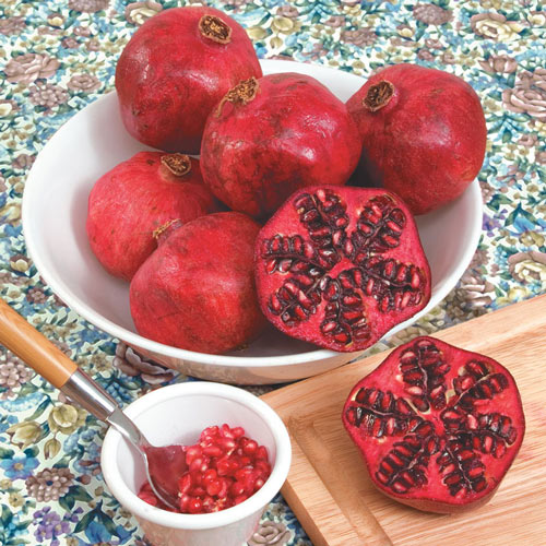 Dwarf Pomegranate Plant