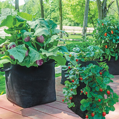 Grow Tub<sup>®</sup> 15 Gallon Garden Container