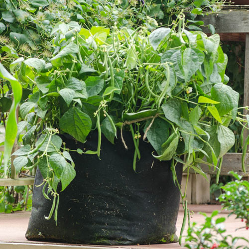 Grow Tub<sup>®</sup> 15 Gallon Garden Container