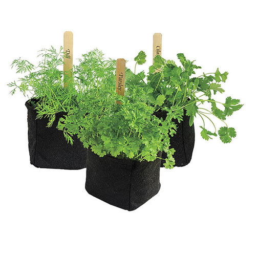 Grow Tub<sup>®</sup>Herb/Transplant Pots - 4 Inch