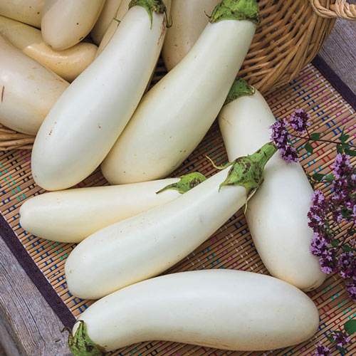 Casper Hybrid Eggplant