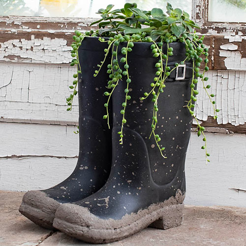 Garden Boots Planter Gurney's Seed & Nursery Co.