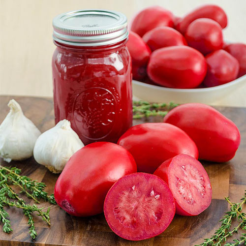 Easy Sauce™ Hybrid Tomato