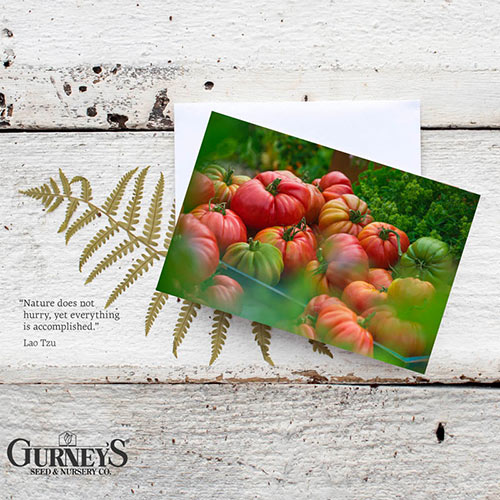 Gurney's<sup>®</sup> Veggie Notecards
