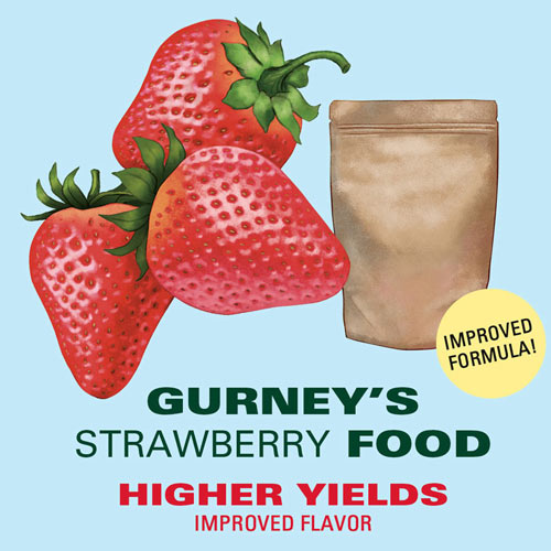 Gurney's<sup>®</sup>  Strawberry Food