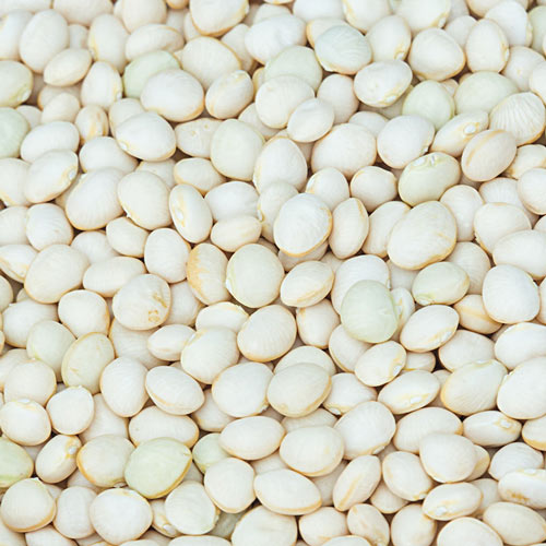 Dixie White Butterpea Seed