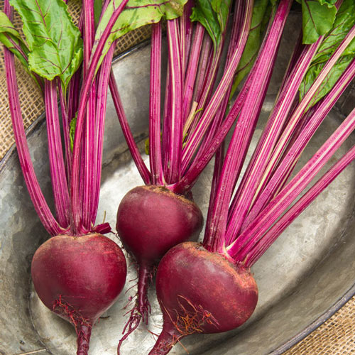 Red, White & Gold Beet Mix