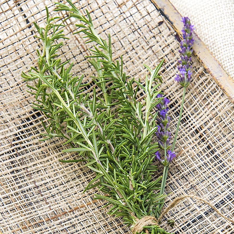 Herbs in Witchcraft - Rosemary - Awesome on 20