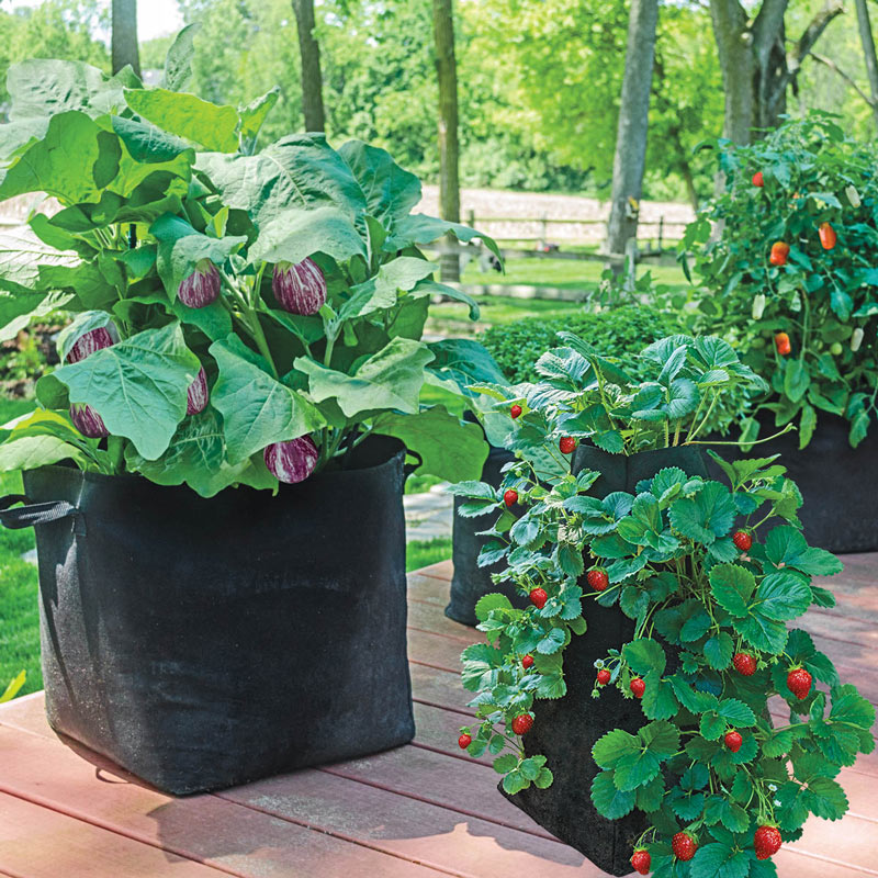 Potato Grow Bag Tomato Planting Bag PE Fabric Root Pots Vegetable Outdoor  Garden
