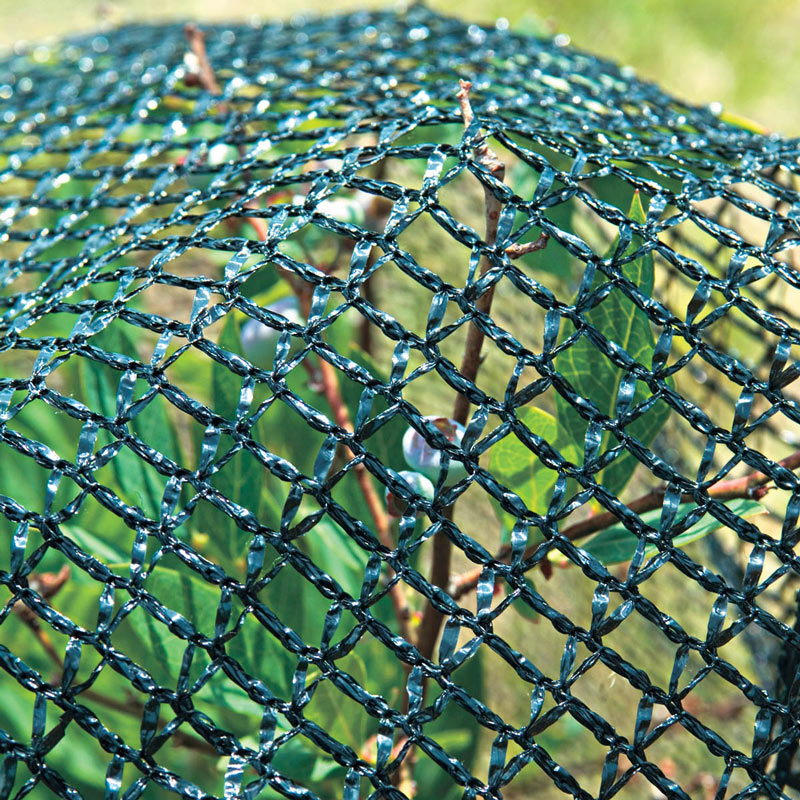 Garden Netting - American Nettings