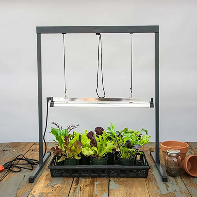 Nationaal volkslied Antecedent Antipoison Grow Light - Grow Lights For Seed Starting | Gurney's