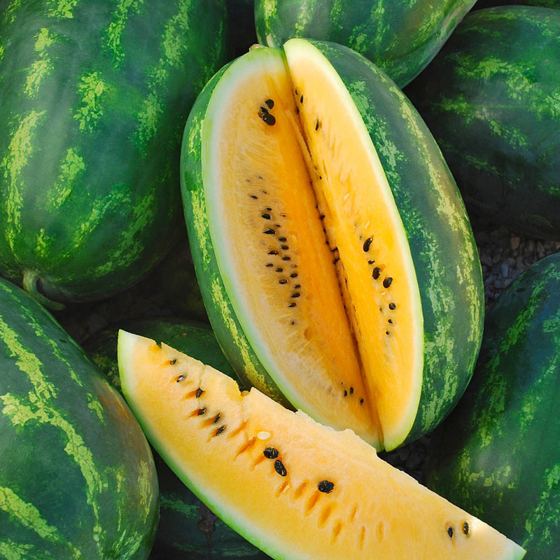 15 SEEDS Yellow Sweet Watermelon Garden Fresh Fruit Healthy Planting Summer