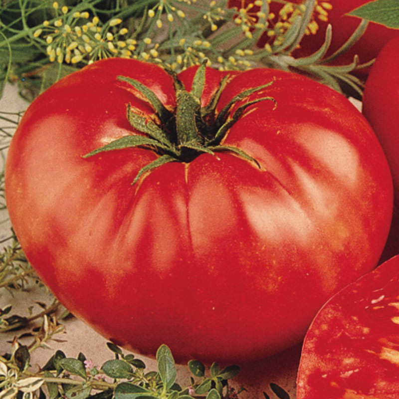 White Beefsteak beef Tomato aprx 60 Seeds fruit huge Giant up to 2 kg 